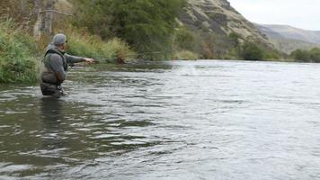 homem cambaleando em peixes grandes video