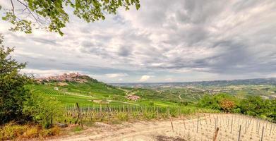 The vineyards of Langhe, Italy, seen from the viewpoint of La Morra. photo