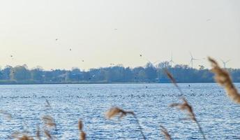 Lago Bad Bederkesa en Baja Sajonia, Alemania foto