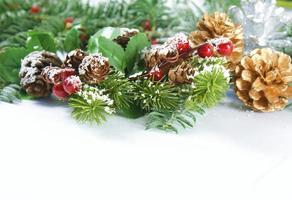Christmas background with berries and pine cones photo