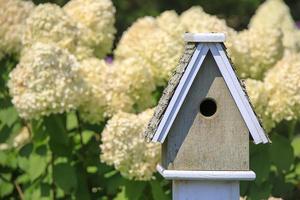 Wooden birdhouse in front of a flowering Hydrangea plant