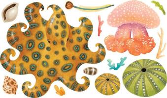 Sea creatures watercolour hand painted illustrations vector