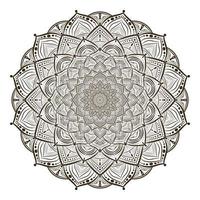 mandala background sketch vector