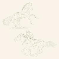 horse racing sketch vector