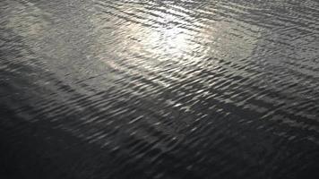 Calm Sea Water Surface Background video