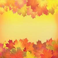 Red, orange, brown and yellow autumn leaves. Vector