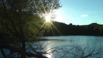 árbol y agua tranquila del lago