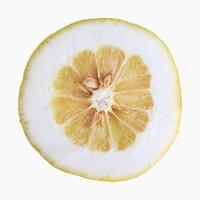 Citron citrus fruit