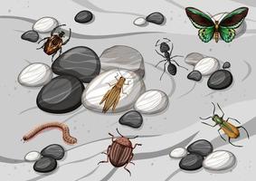 vista superior de diferentes tipos de insectos. vector