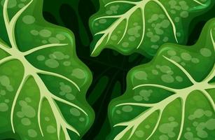 Green tropical leaves background vector