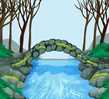 Forest scene with stone bridge cross the river vector