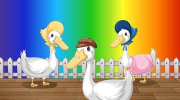 Three ducks farm animals on rainbow gradient background vector
