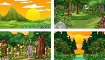 Diferentes escenas de la naturaleza del bosque y la selva tropical con animales salvajes. vector