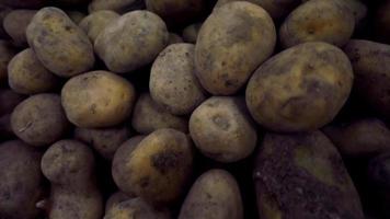 Montón de patatas orgánicas de pie sobre el mostrador video