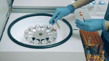 l'infirmière met les tubes à essai sanguin dans une centrifugeuse pour examiner les tests sanguins. video