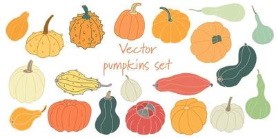 Set with different varieties of pumpkins and squashes isolated on white. Hand drawn vector illustration in flat style with lines. Farming, gardening and harvest theme. Bright colors.