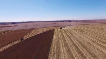 Maize Harvesting in South Africa video