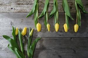 hermosas flores de tulipán amarillo en la mesa de madera. fondo festivo. foto