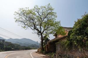 There is a tree beside the house by the road photo