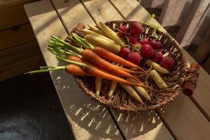 The afternoon sun shines on the red and orange radishes in the basket photo
