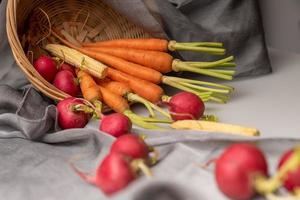 The red and orange radishes are on the white cloth photo
