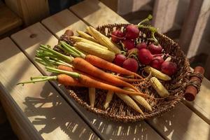 The afternoon sun shines on the red and orange radishes in the basket photo