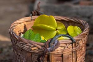 The Yellow carambola is ripe. Pick it and put it in the basket photo