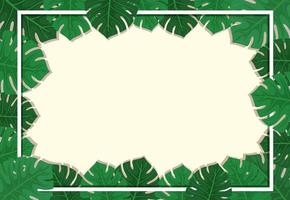 Empty background with monstera leaves elements vector