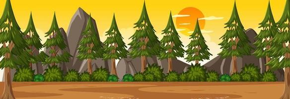 Forest horizontal scene at sunset time with many pine tree background vector