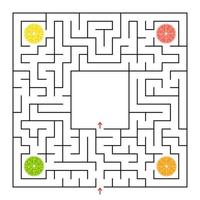 A square labyrinth. Collect all the lobes of fruit and find a way out of the maze. Simple flat isolated vector illustration.