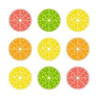 conjunto de mitades de colores aislados de frutas deliciosas sobre un fondo blanco. comida tropical jugosa, brillante y deliciosa. lima, limón, pomelo, naranja. Ilustración de vector plano simple.