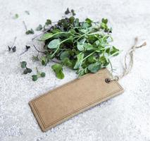 Assortment of micro greens on concrete background photo