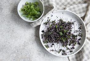 Assortment of micro greens on wooden table photo