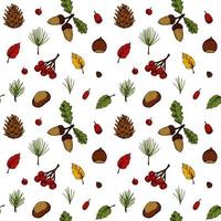 Autumn forest seamless pattern with cones, leaves, Christmas tree branches, berries isolated on white background. Hand drawn colored sketch vector illustration. Vintage line art