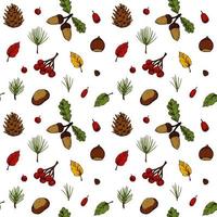 Autumn forest seamless pattern with cones, leaves, Christmas tree branches, berries isolated on white background. Hand drawn colored sketch vector illustration. Vintage line art