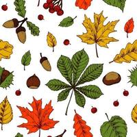 Autumn seamless pattern with acorns, chestnuts, hazelnuts, berries and colorful leaves isolated on white background. Hand drawn colored sketch vector illustration. Vintage line art