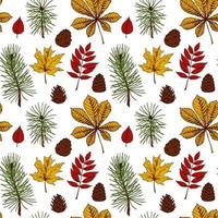 Autumn seamless pattern with cones, leaves, Christmas tree branches isolated on white background. Hand drawn colored sketch vector illustration. Vintage line art