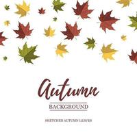 Autumn square design with colorful falling maple leaves. Place for text. Vector illustration