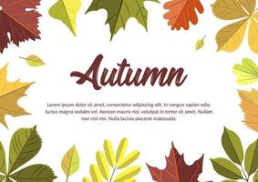 diseño horizontal de otoño con coloridas hojas que caen. lugar para el texto. ilustración vectorial vector