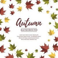 Autumn square design with colorful falling maple leaves. Place for text. Vector illustration