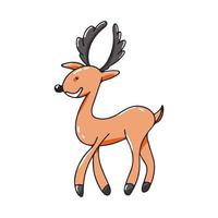 Christmas cute young deer with antlers isolated on white background. Vector colorful illustration in hand drawn style. Doodle icon with forest animal