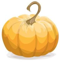 Vector image of a single pumpkin