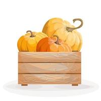 Vector image of three pumpkins in a box