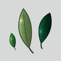 three leaves with different gradient colors and patterns vector illustration