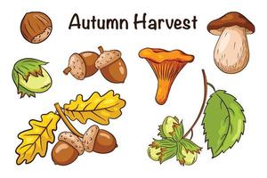 conjunto de elementos de cosecha de otoño vector