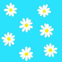 Pattern of cute daisies. Beautiful flowers on a blue background vector