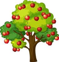 Apple tree isolated on white background vector