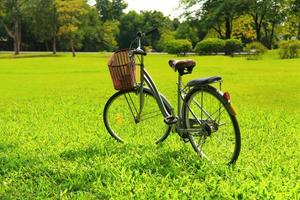 bicicletas en el parque