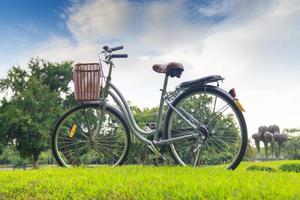 bicicletas en el parque foto
