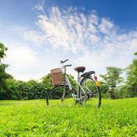 bicicletas en el parque
